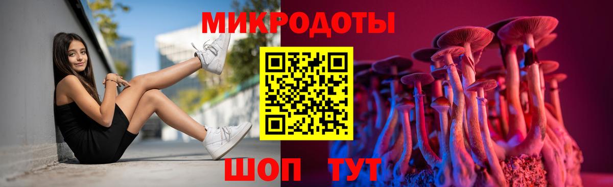 Галлюциногенные грибы GOLDEN TEACHER  Вход с VPN  купить наркотики цена  Сыктывкар 